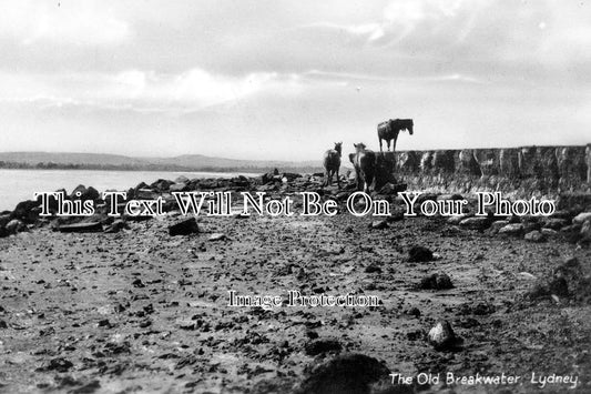 GL 739 - The Old Breakwater, Lydney Harbour, Gloucestershire c1935