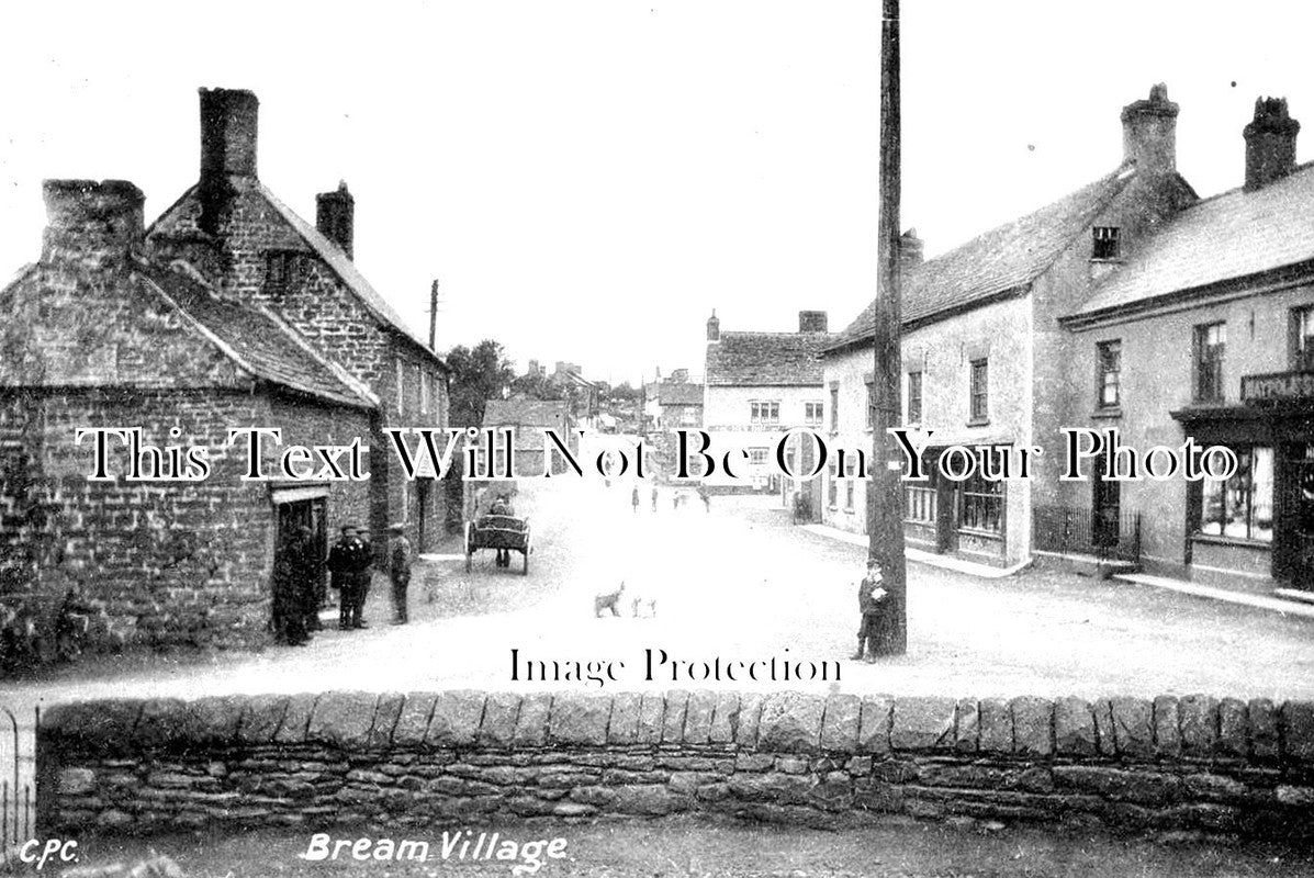 GL 876 - Bream Village, Gloucestershire c1910