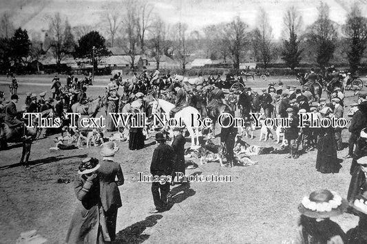 HA 1143 - Meet Of Hounds, Lyndhurst, Hampshire c1910