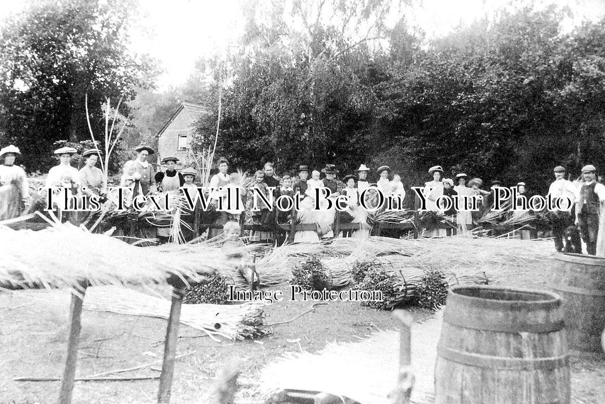 HA 1535 - Gathering Thatch, Tadley, Basingstoke, Hampshire c1909