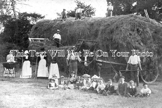 HA 1610 - Haymaking At Breamore, Fordingbridge, Hampshire