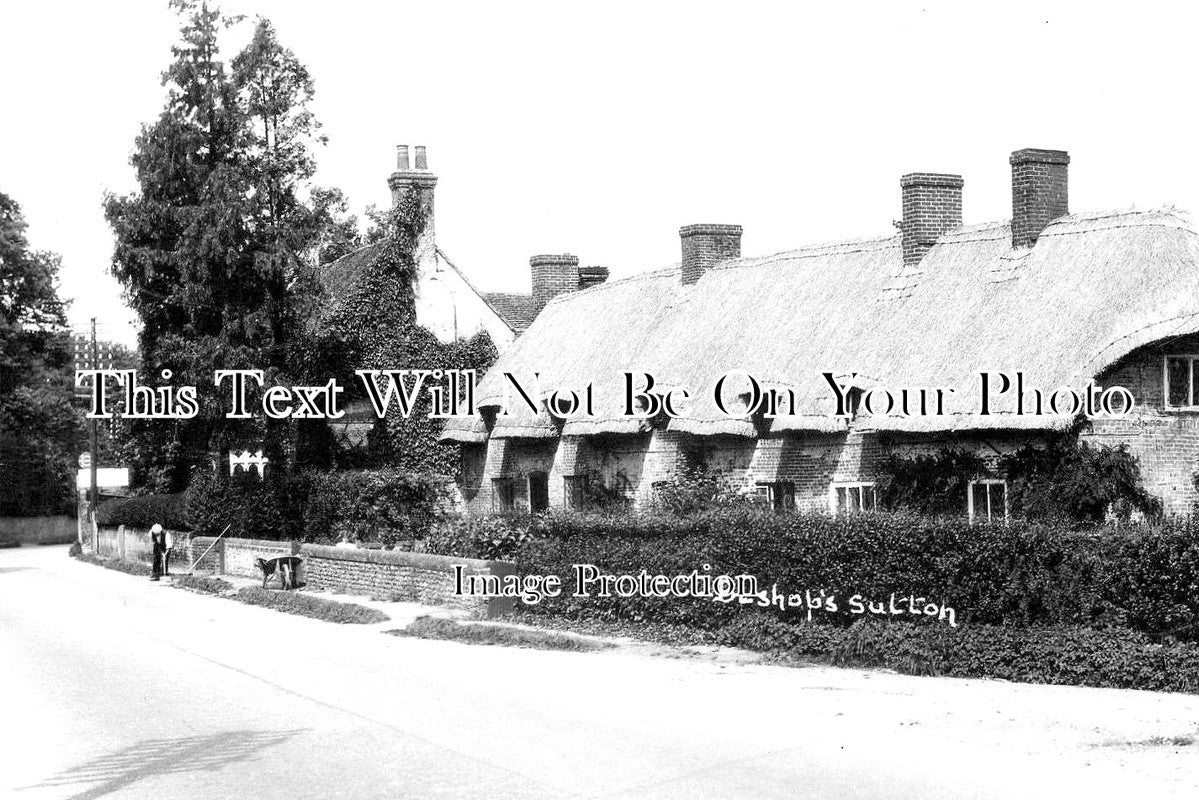 HA 2100 - Bishops Sutton, Hampshire