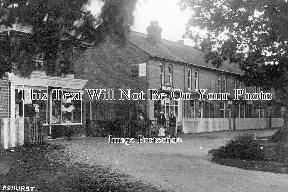 HA 2264 - Ashurst, Hampshire c1917