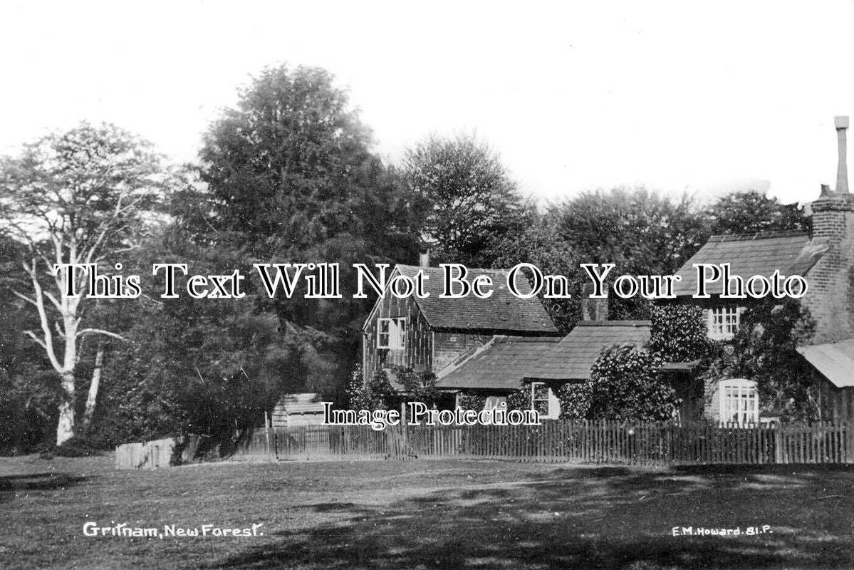 HA 2307 - New Forest, Gritnam, Hampshire