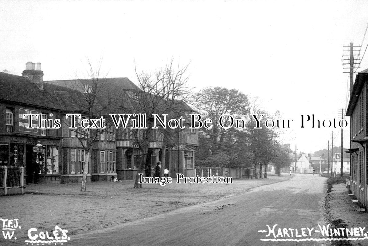 HA 2449 - Coles, Hartley Wintney, Hampshire