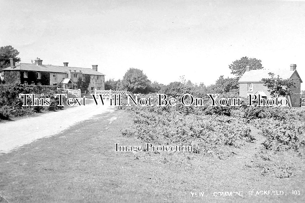 HA 2778 - Yew Common, Blackfield, Hampshire c1906