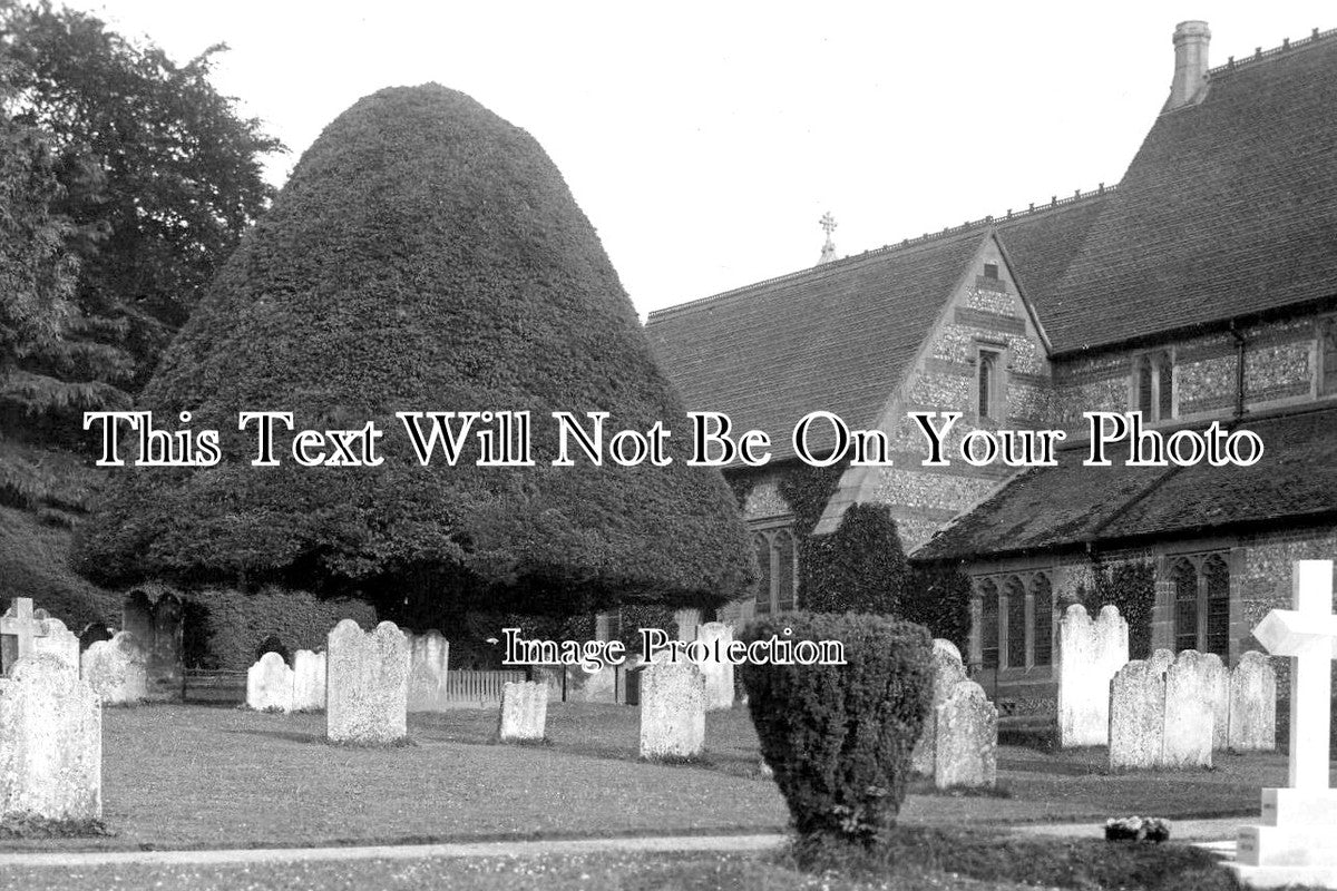HA 2800 - The Yew Tree & Churchyard, Twyford, Hampshire