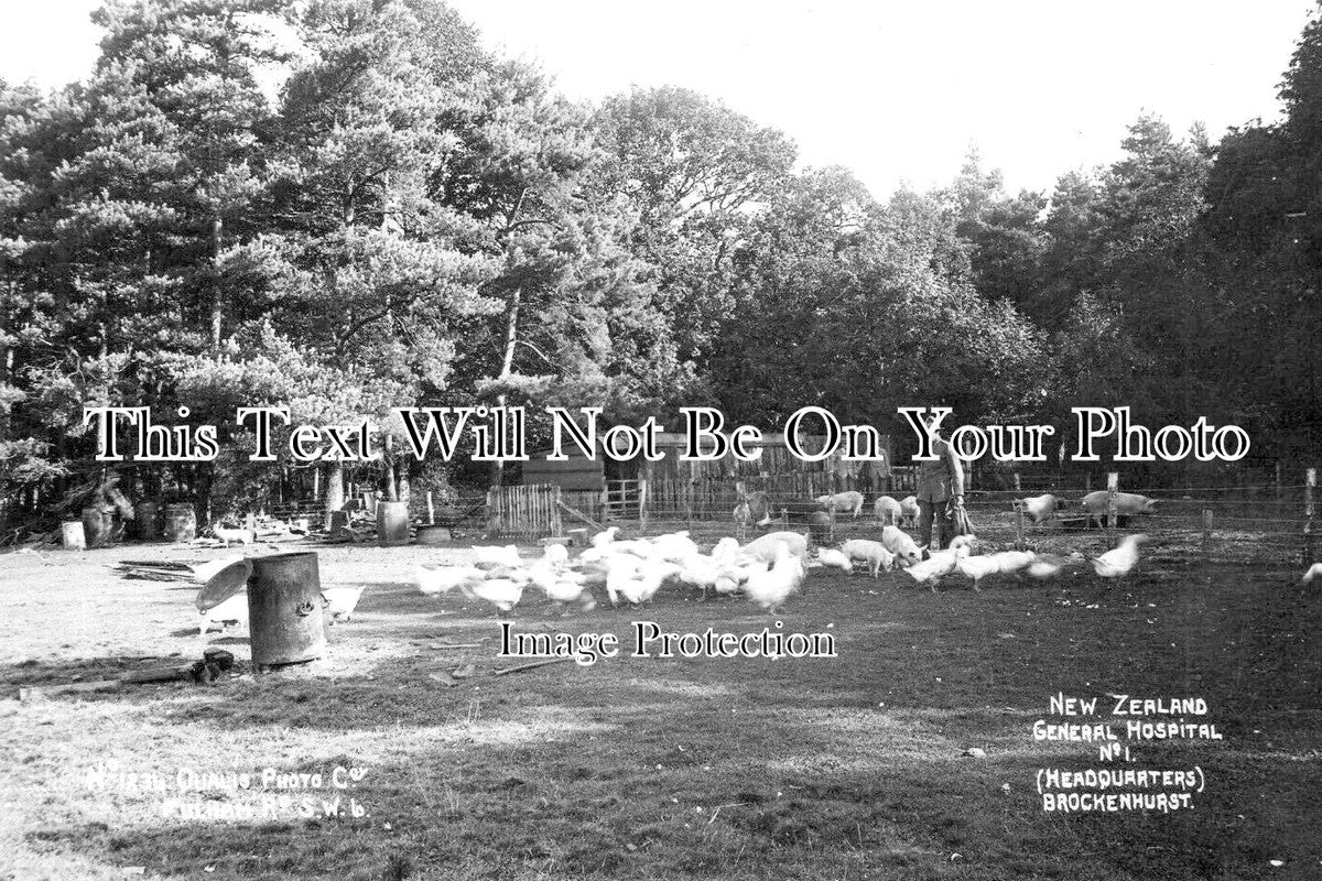 HA 2831 - Pig Pens, New Zealand General Hospital, Brockenhurst WW1
