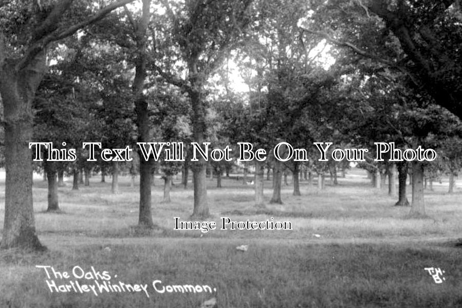 HA 3166 - The Oaks, Hartley Wintney Common, Hampshire c1924