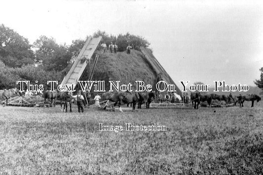 HA 3207 - Pigeon House Farm, Clanville, Andover, Hampshire c1917