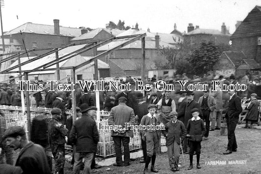 HA 3290 - Fareham Market, Hampshire c1913