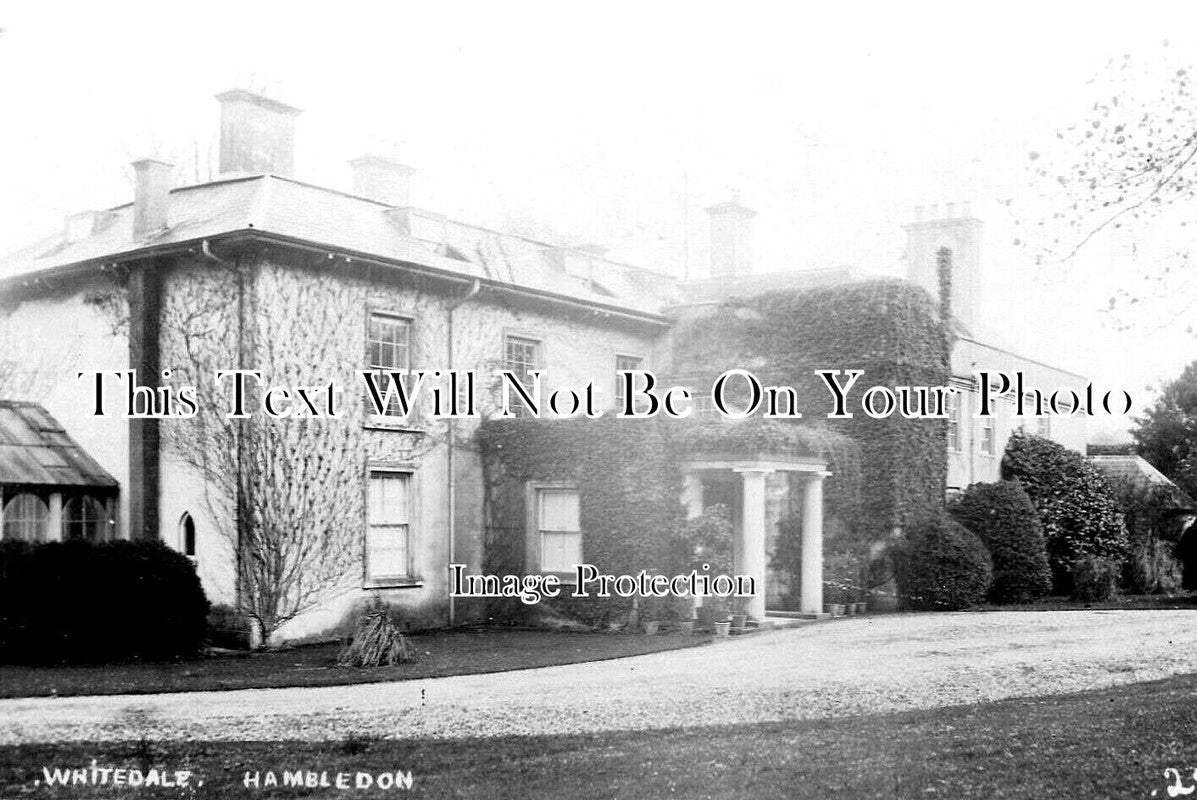 HA 3318 - Whitedale, Hambledon, Hampshire