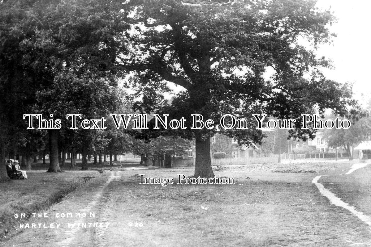 HA 3616 - On The Common, Hartley Wintney, Hampshire c1907