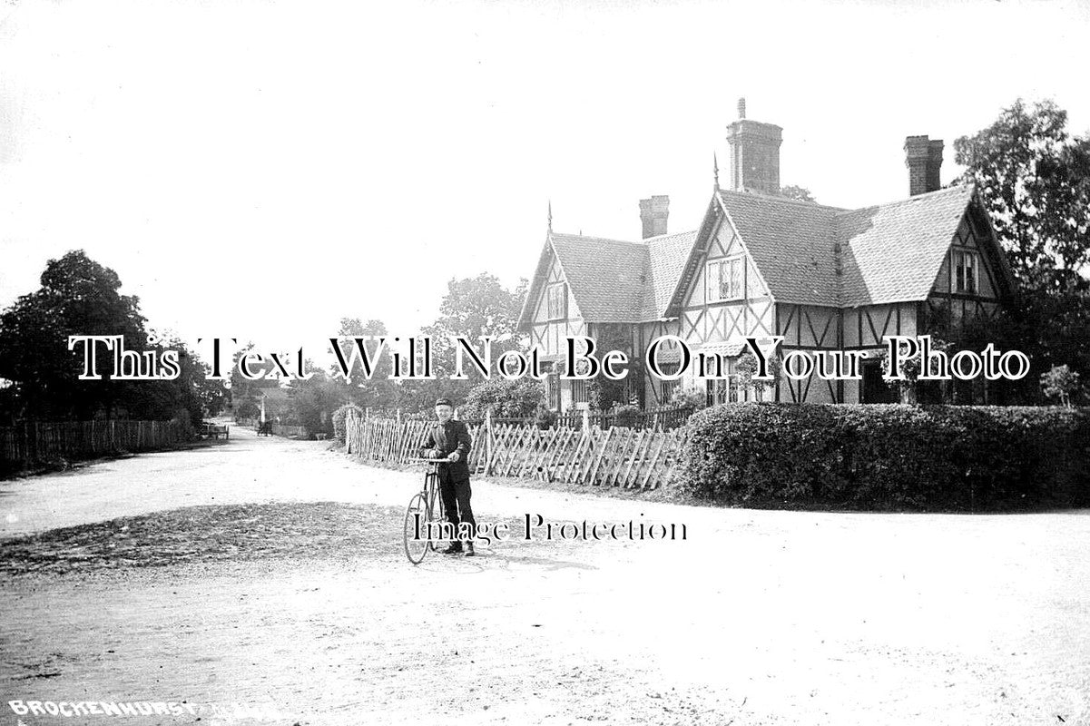 HA 3773 - Brockenhurst, Hampshire