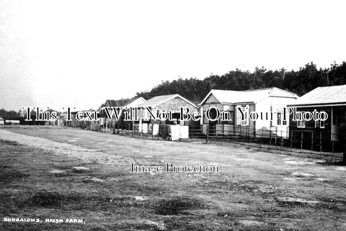 HA 3845 - Naish Farm Bungalows, Hampshire