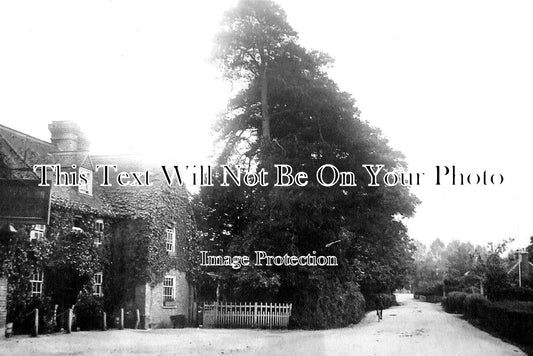 HA 4059 - Lyndhurst Road, Brockenhurst, Hampshire c1907
