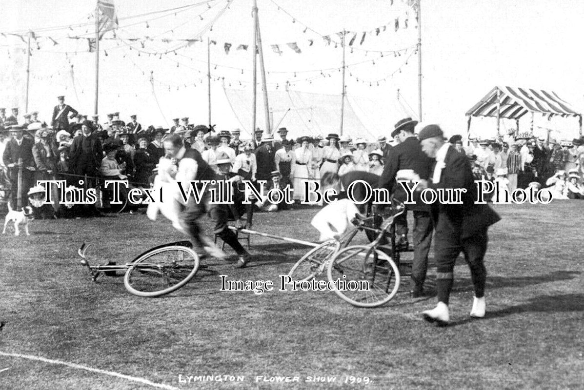 HA 4439 - Lymington Flower Show, Hampshire 1909
