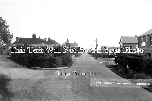 HA 4716 - The Forest Of Bere, Denmead, Hampshire