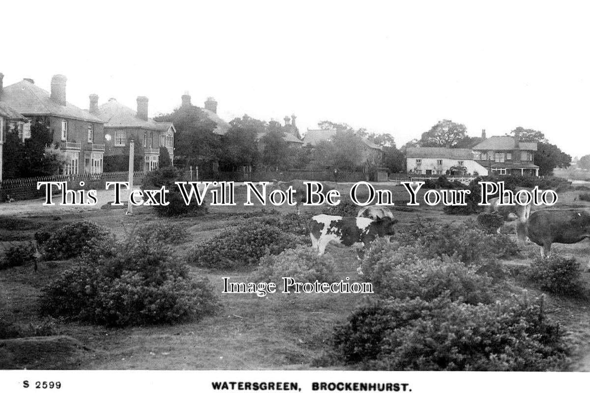 HA 4787 - Watersgreen, Brockenhurst, Hampshire