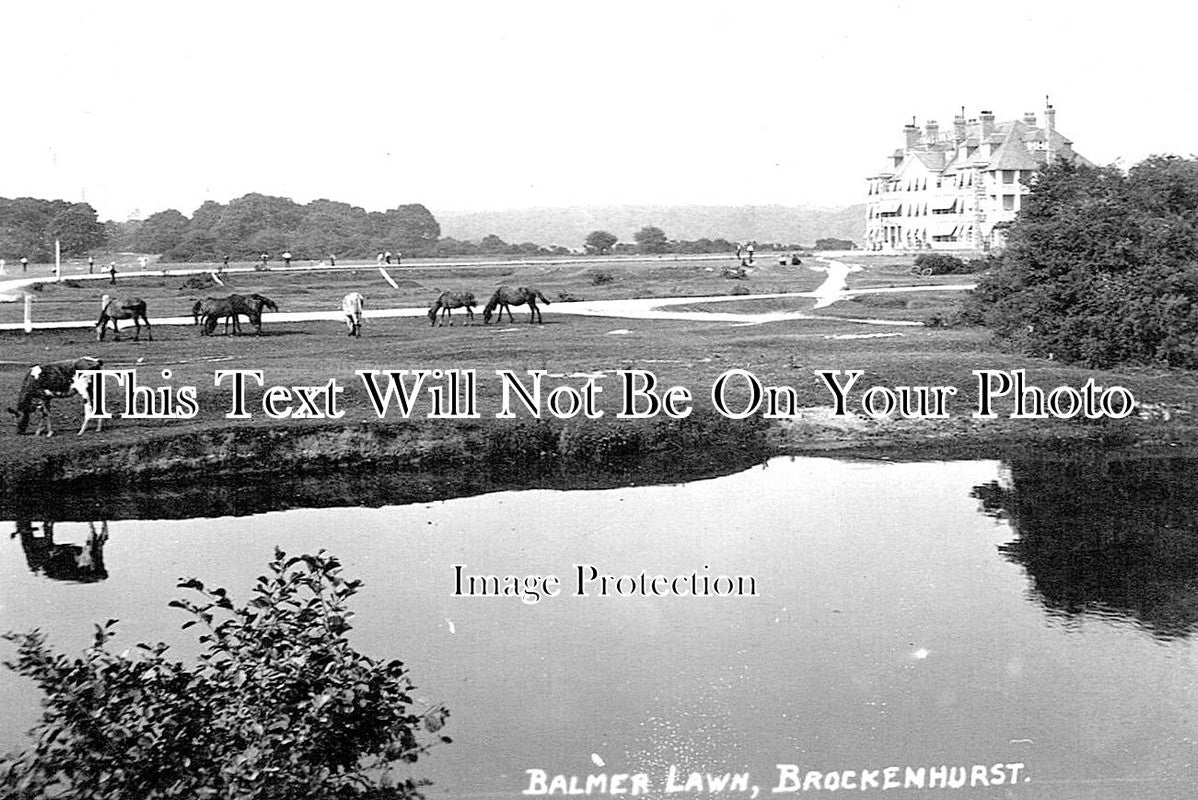 HA 4797 - Balmer Lawn, Brockenhurst, Hampshire