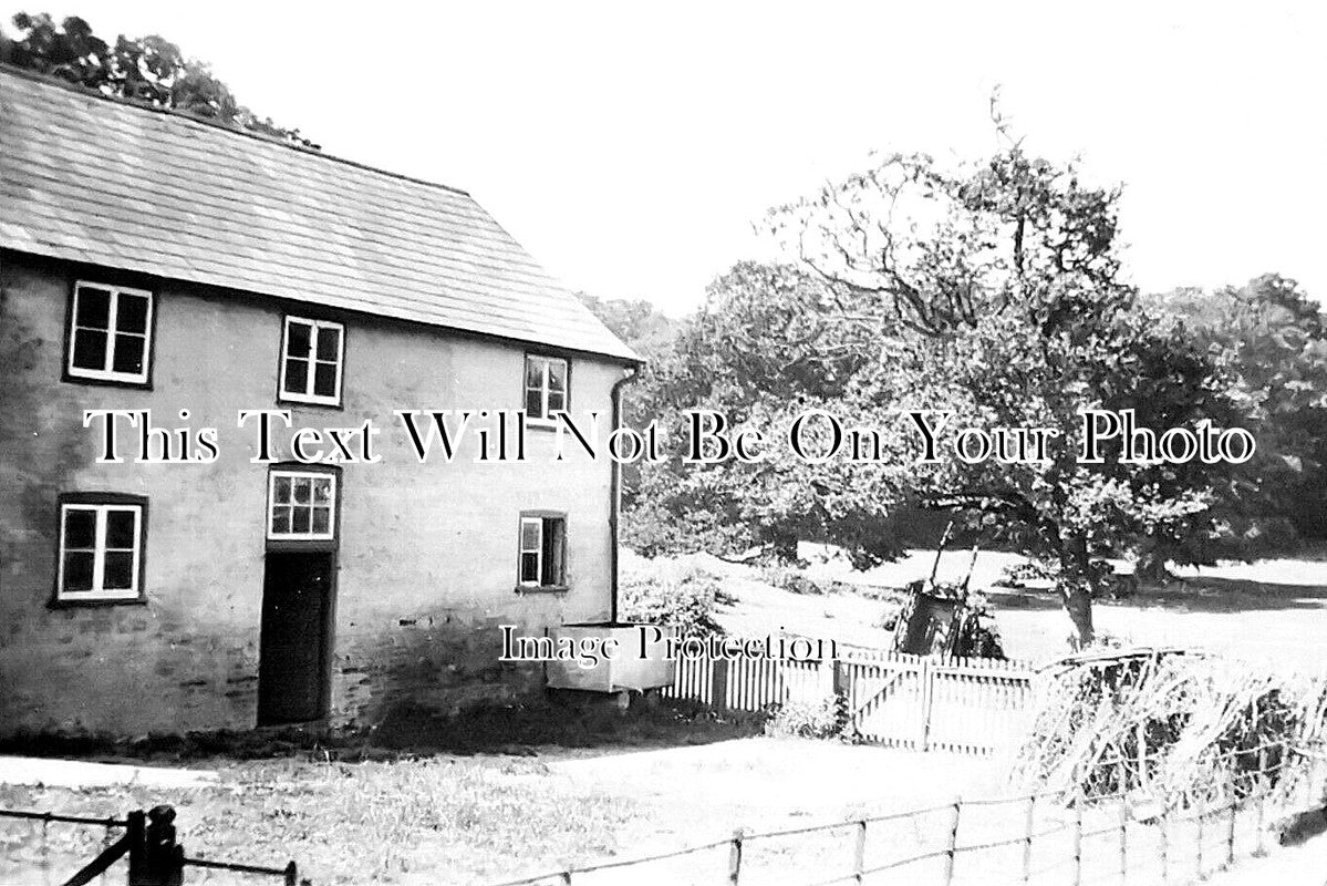 HA 4932 - Bramshaw, New Forest, Hampshire