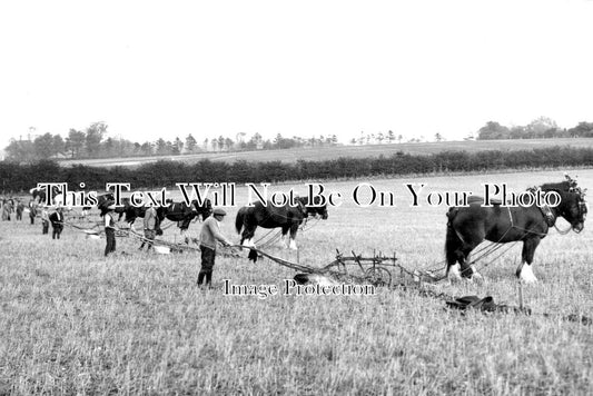 HA 4933 - Alresford Ploughing Competition, Hampshire
