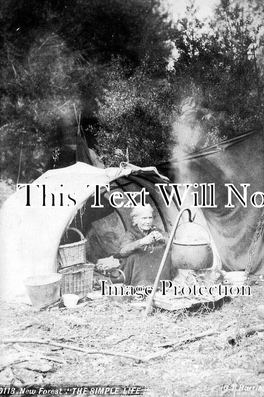 HA 4982 - Gipsy Camp, New Forest, Hampshire