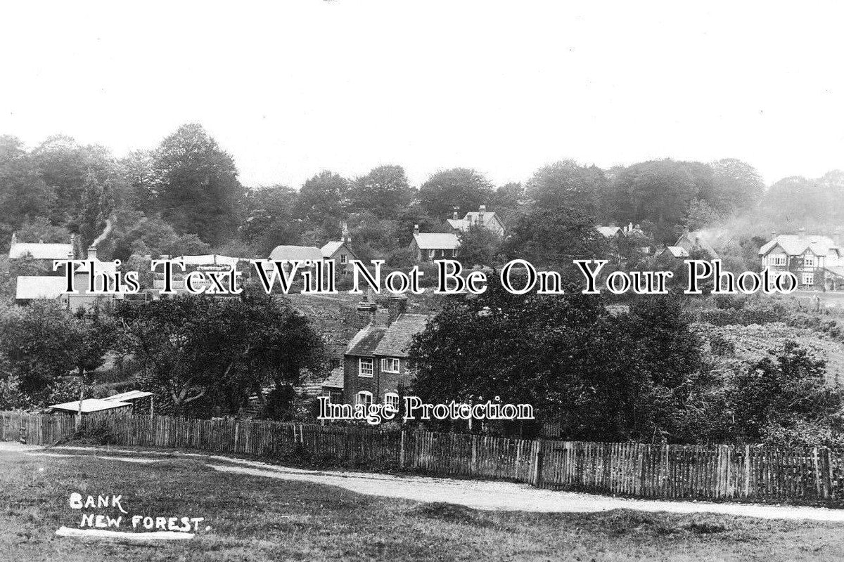 HA 5032 - Bank, New Forest, Hampshire c1918