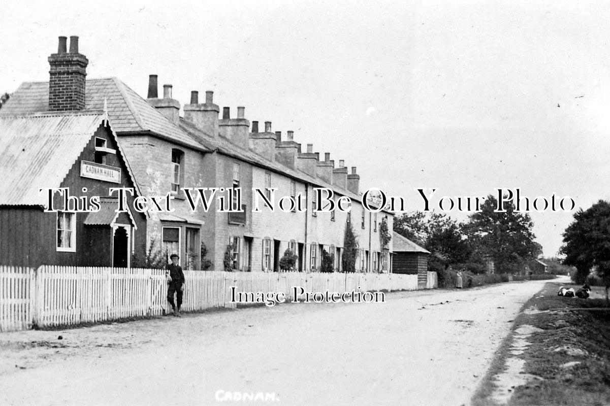 HA 509 - Cadnam Village, Hampshire c1913