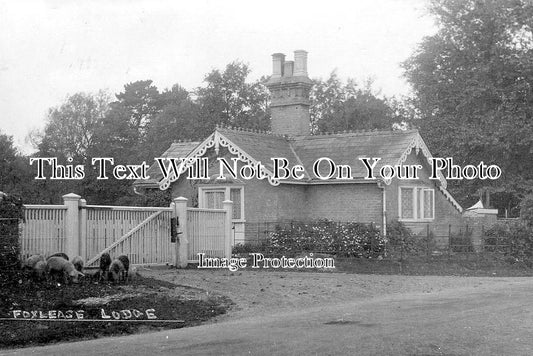 HA 5454 - Foxlease Lodge, Lyndhurst, Hampshire