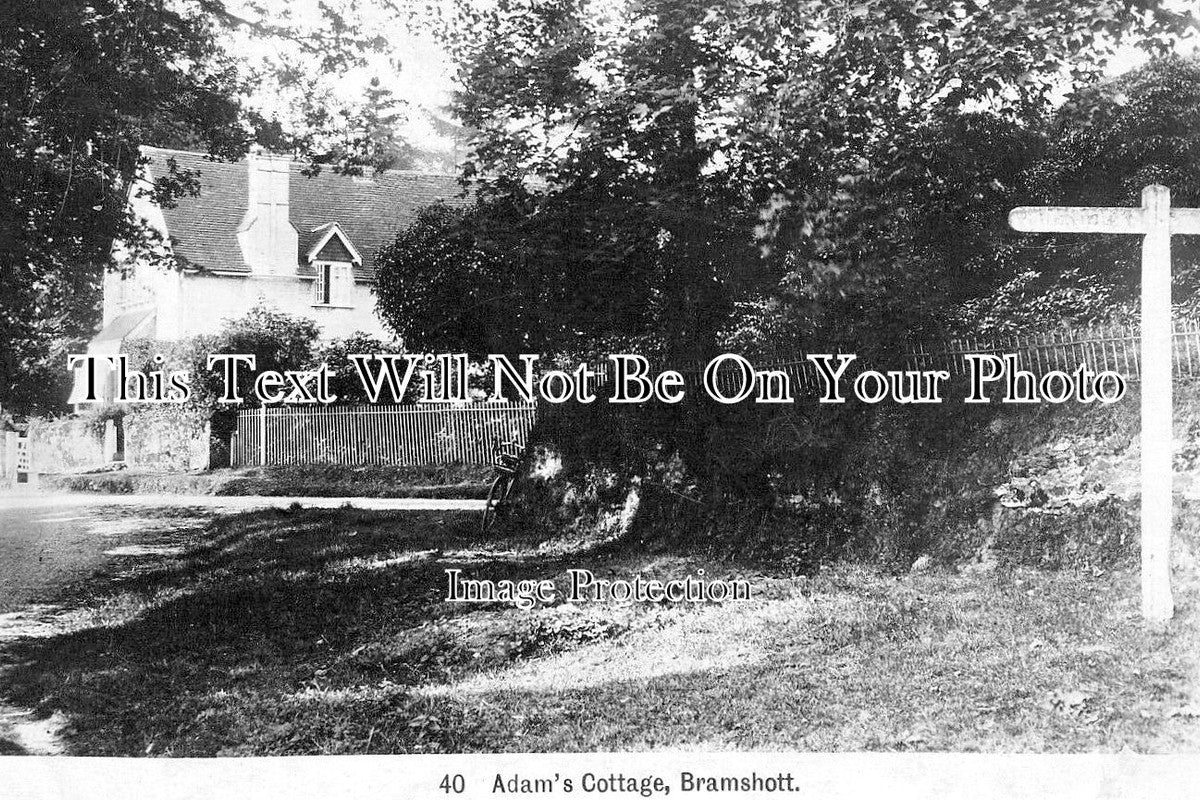 HA 5558 - Adams Cottage, Bramshott, Hampshire c1909