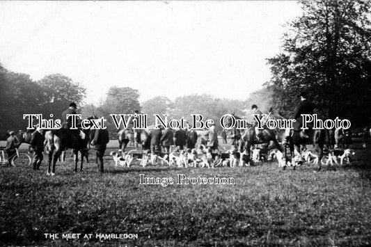 HA 732 - Fox Hounds Meet, Hambledon, Hampshire