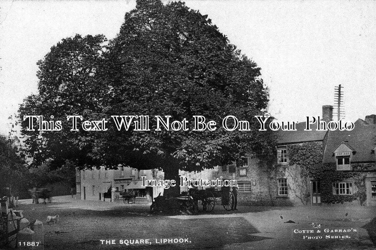 HA 764 - The Square, Liphook, Hampshire c1917