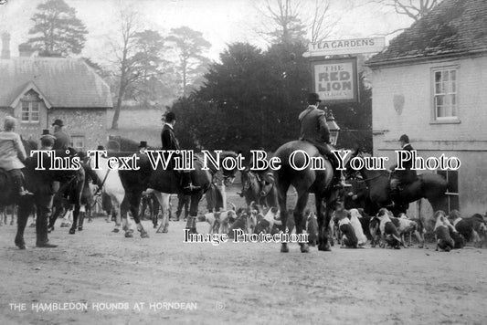 HA 802 - The Hambledon Hounds At Horndean, Hampshire c1908