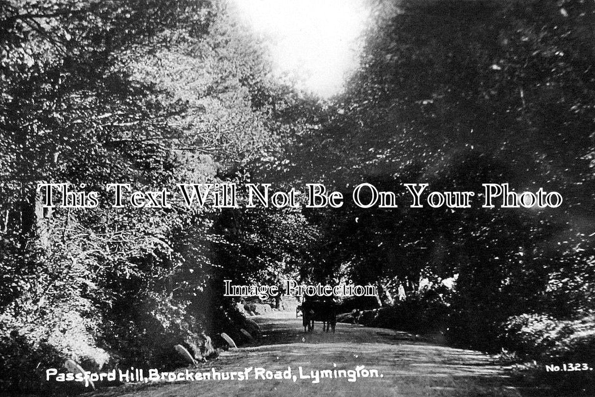 HA 94 - Passford Hill, Brockenhurst Road, Lymington, Hampshire c1913