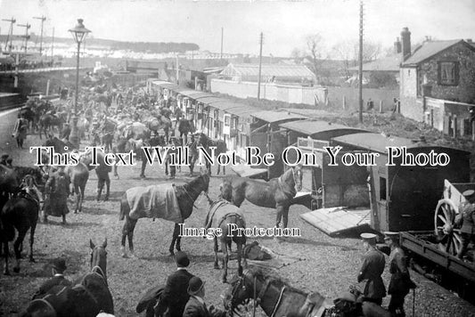 HA 991 - Weyhill Railway Station, Andover Town, Military Horse Transport, WW1, Hampshire