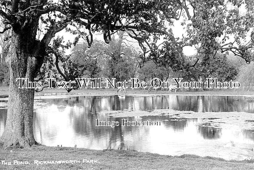 HF 1218 - The Pond, Rickmansworth Park, Hertfordshire c1911