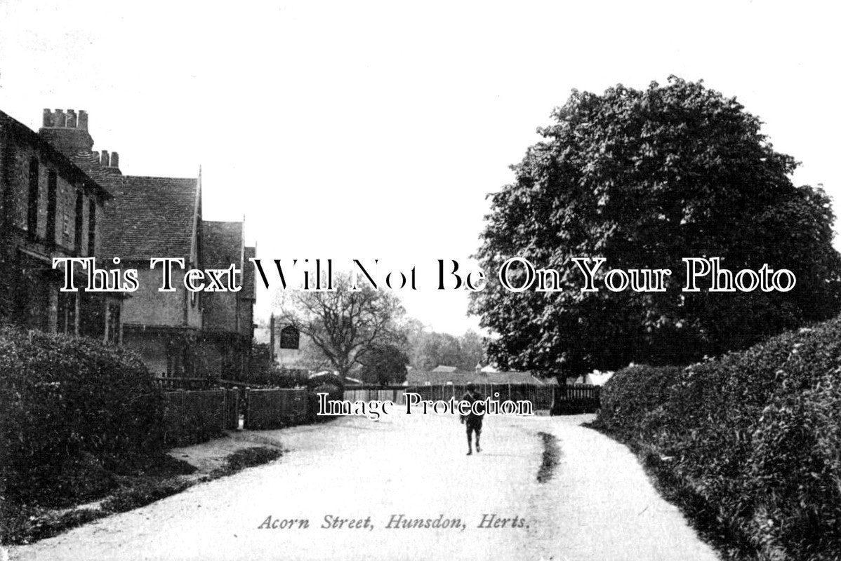 HF 1236 - Acorn Street, Hunsdon, Hertfordshire