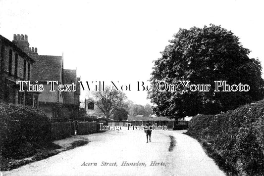 HF 1236 - Acorn Street, Hunsdon, Hertfordshire