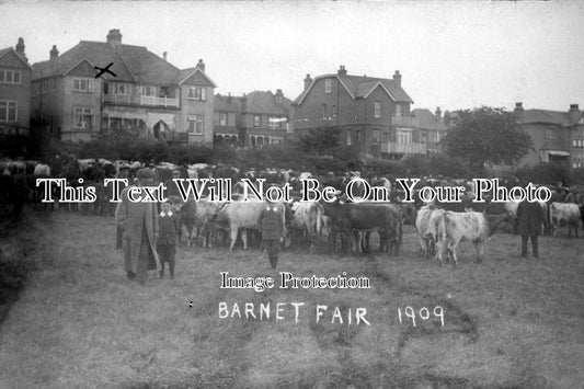 HF 126 - Barnet Fair, Hertfordshire 1909