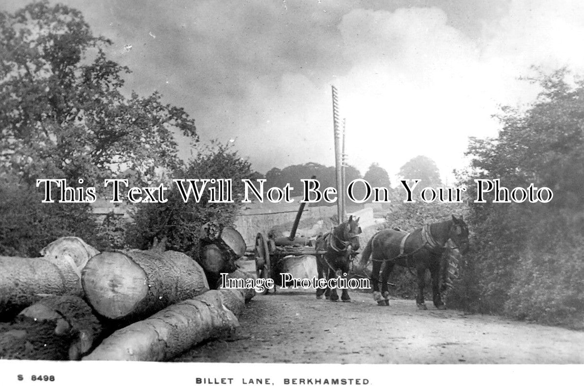 HF 1385 - Billet Lane, Berkhamsted, Hertfordshire c1905