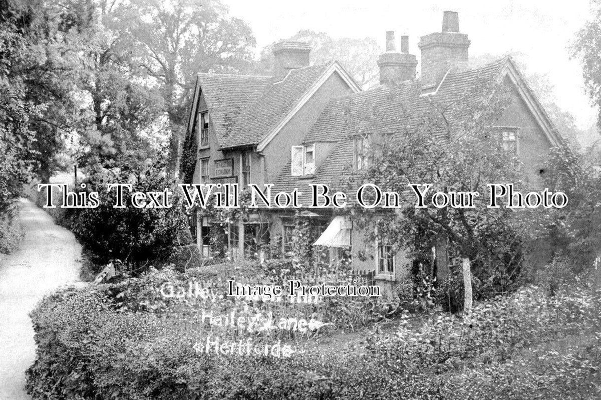 HF 1411 - Galley Hall Inn, Hailey Lane, Hertford, Hertfordshire c1908