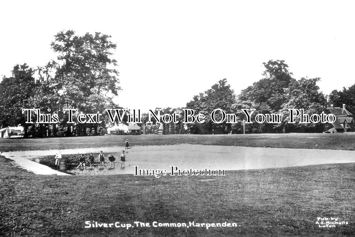 HF 1655 - Silver Cup, The Common, Harpenden, Hertfordshire c1915