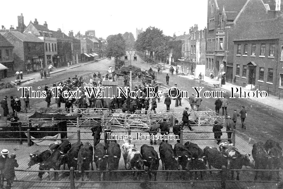 HF 1988 - St Albans Cattle Market, Hertfordshire