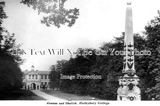 HF 2069 - Avenue & Obelisk, Haileybury College, Hertfordshire