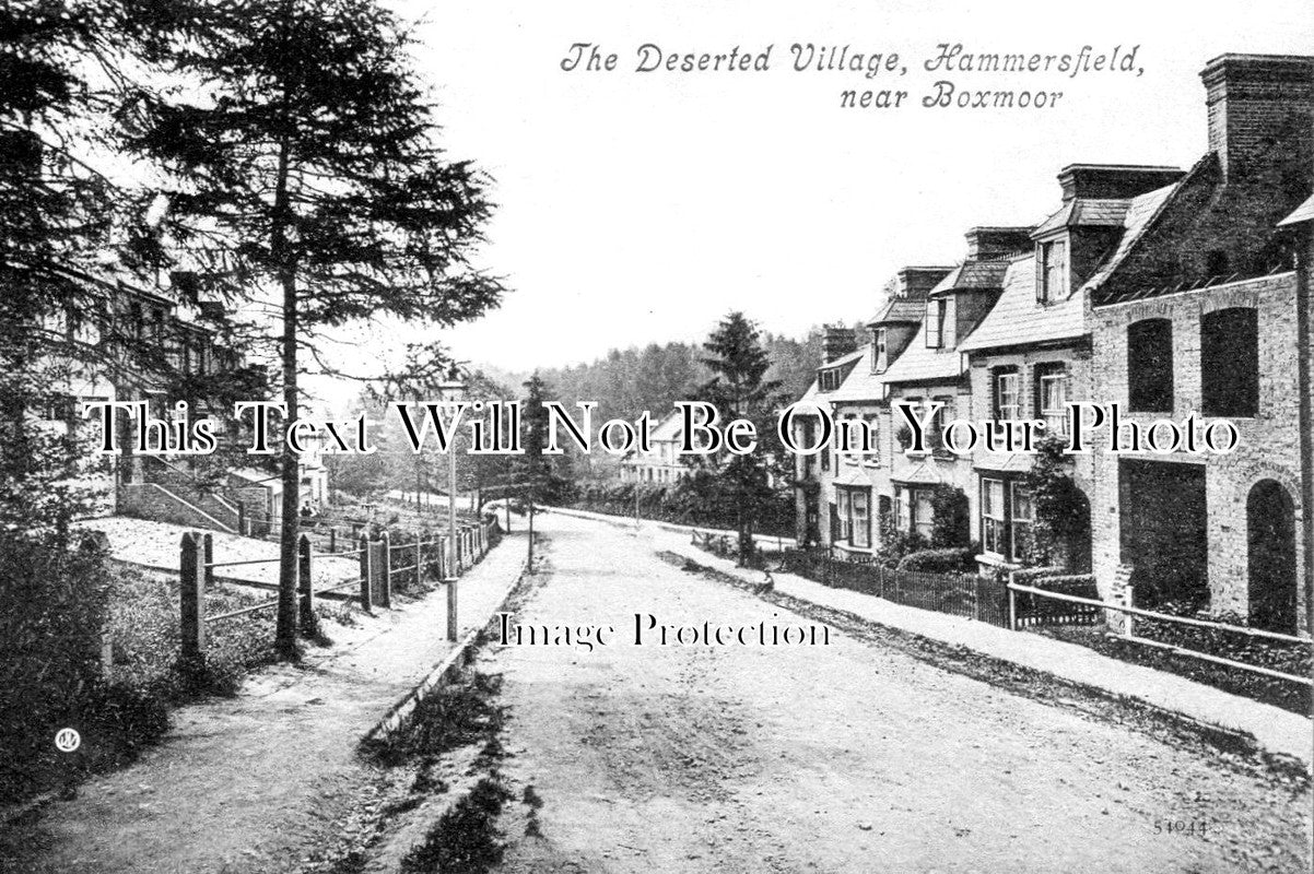 HF 2116 - Hammersfield Deserted Village, Boxmoor, Hertfordshire
