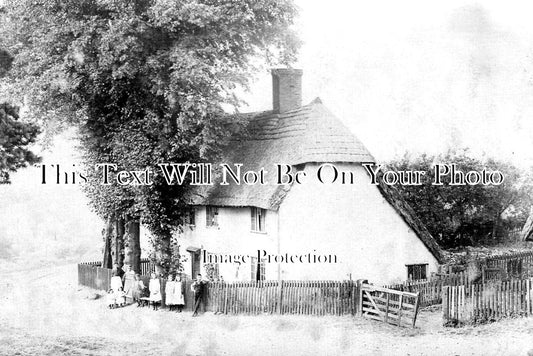 HF 2131 - Thatched Cottage, Much Hadham, Hertfordshire