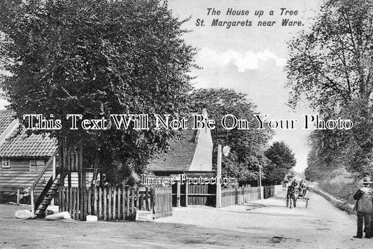 HF 2244 - The Crown pub, St Margarets, Ware, Hertfordshire c1910