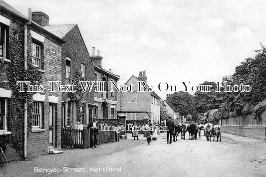 HF 225 - Bengeo Street, Hertford, Hertfordshire c1912