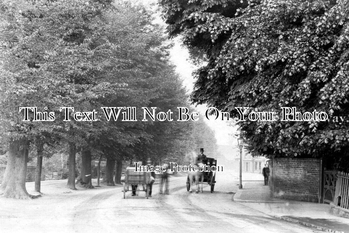 HF 2347 - The Causeway, Bishops Stortford, Hertfordshire